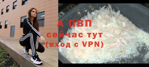 mdpv Богданович